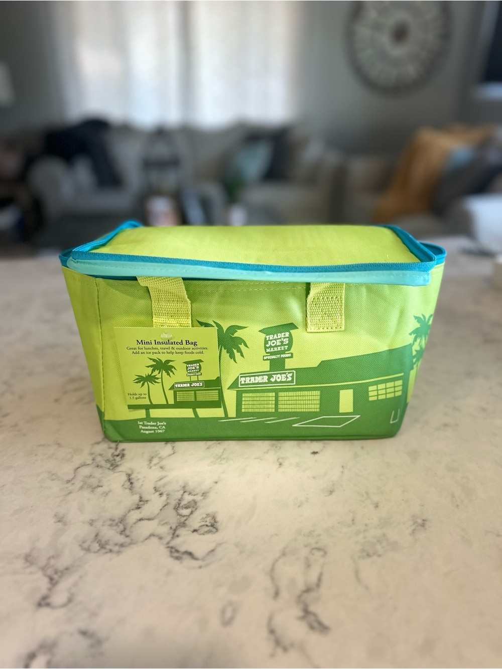 Trader Joe's Mini Insulated Bag - Lime Green with Teal Trim